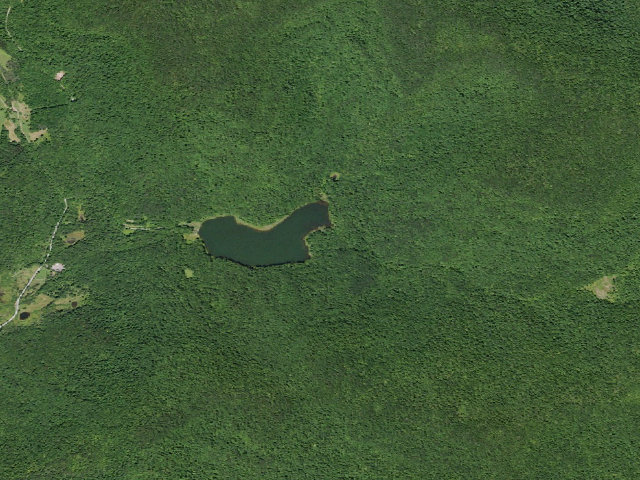 Aerial image of Alder Lake Site #7 (Balsam Lake Mountain Wild Forest)