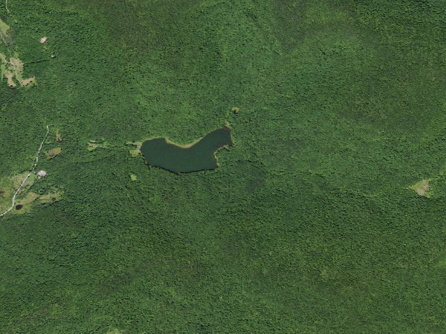 Aerial image of Alder Lake Site #8 (Balsam Lake Mountain Wild Forest)
