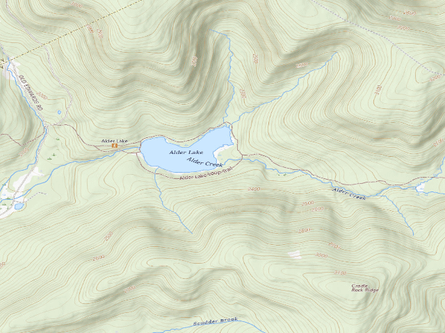 USGS topographic map of Alder Lake Site #8 (Balsam Lake Mountain Wild Forest)
