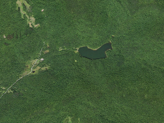 Aerial image of Alder Lake Site #9 (Balsam Lake Mountain Wild Forest)