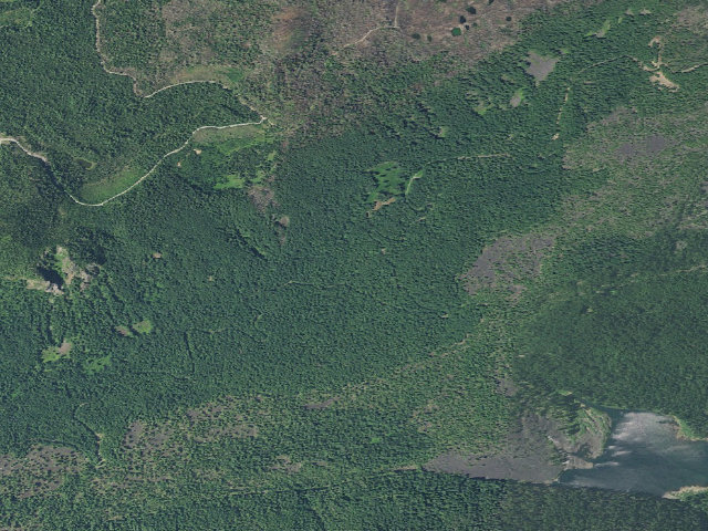 Aerial image of Alder Springs