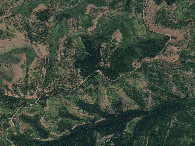 Aerial image of Alder Thicket