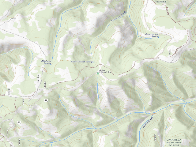 USGS topographic map of Alder Thicket