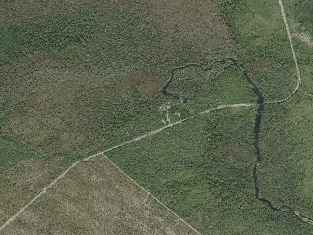 Aerial image of Alexander Springs