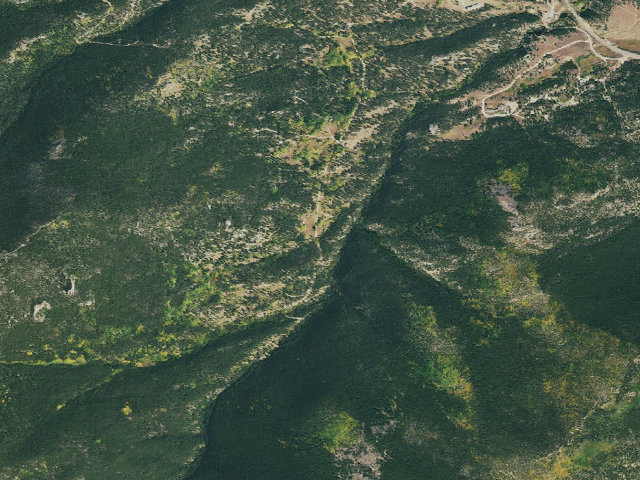 Aerial image of Allenspark Dispersed Camping