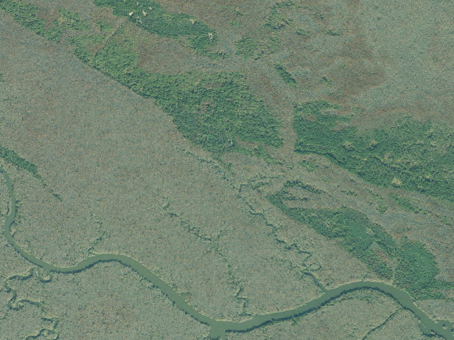 Aerial image of Altamaha WMA - Fulton Creek Primitive Camp