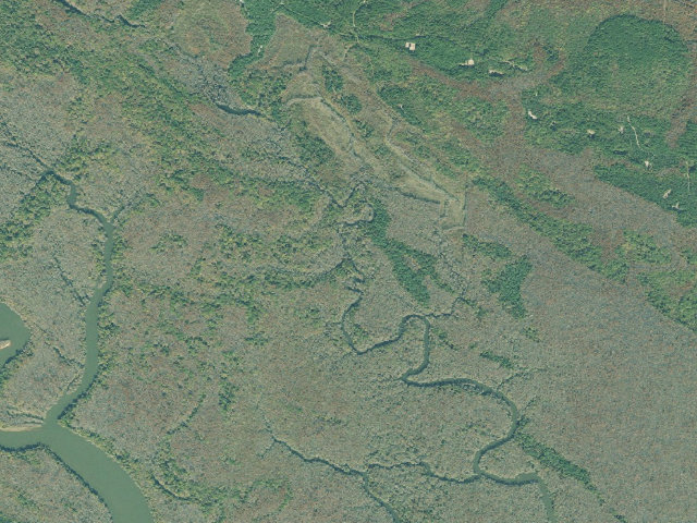 Aerial image of Altamaha WMA - Louis' Creek Primitive Camp