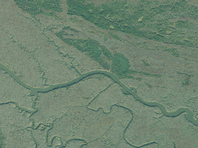 Aerial image of Altamaha WMA - Louis Island Primitive