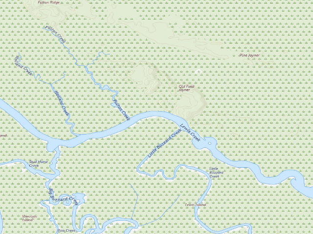USGS topographic map of Altamaha WMA - Louis Island Primitive
