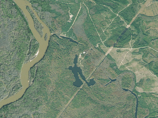 Aerial image of Altamaha WMA - McGowan Lake Campground
