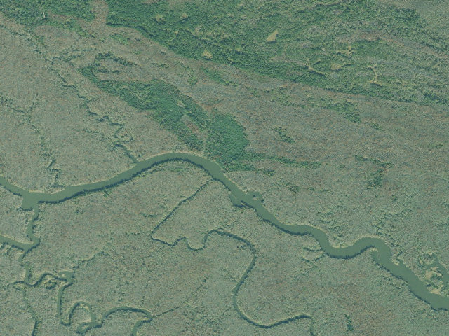 Aerial image of Altamaha WMA - Poppell's Hill Primitive Camp