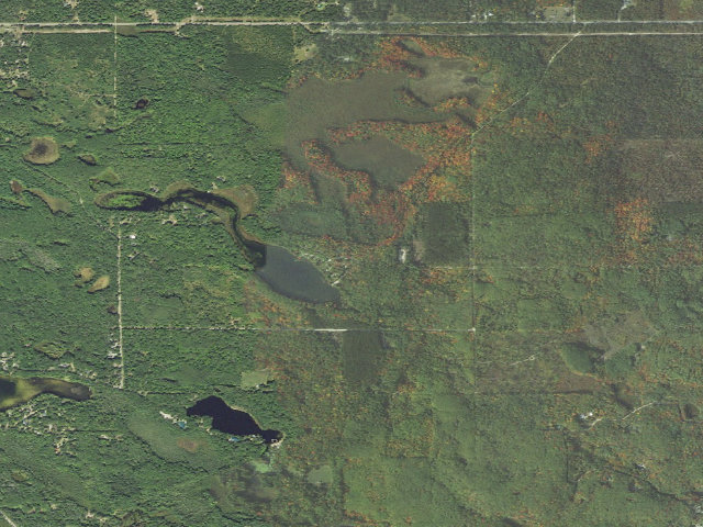 Aerial image of Ambrose Lake State Forest Campground
