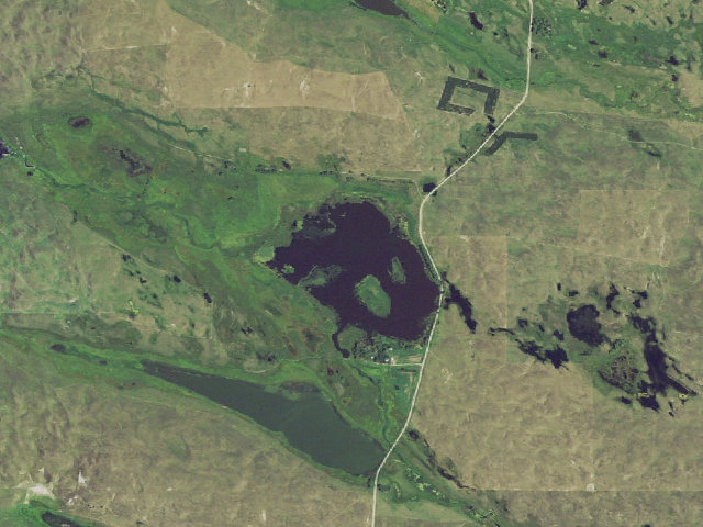 Aerial image of American Game Marsh WMA