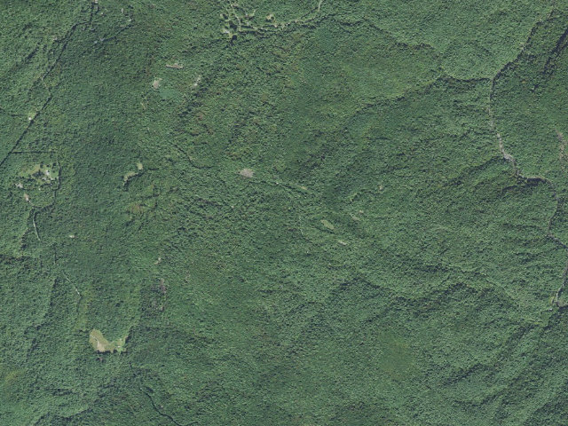Aerial image of Ammons Branch Camp