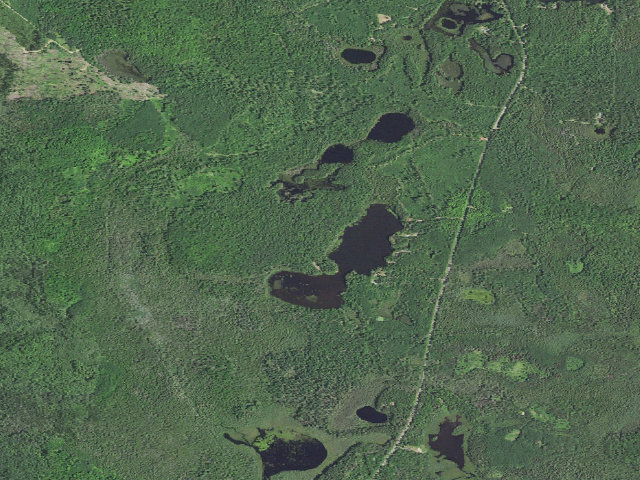 Aerial image of Anderson Lake West State Forest Campground