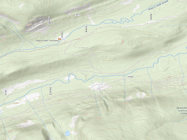 USGS topographic map of Ant Hill Log Seat
