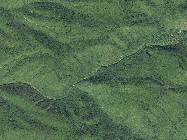 Aerial image of Anthony Creek Campsites