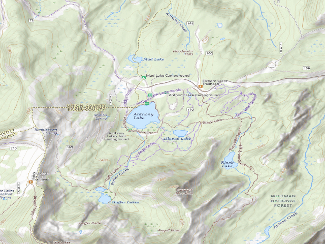 USGS topographic map of Anthony Lakes Tent Campground