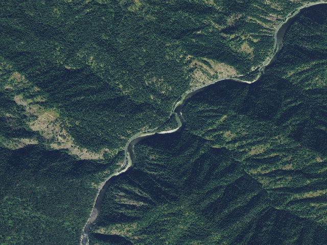Aerial image of Apgar Campground