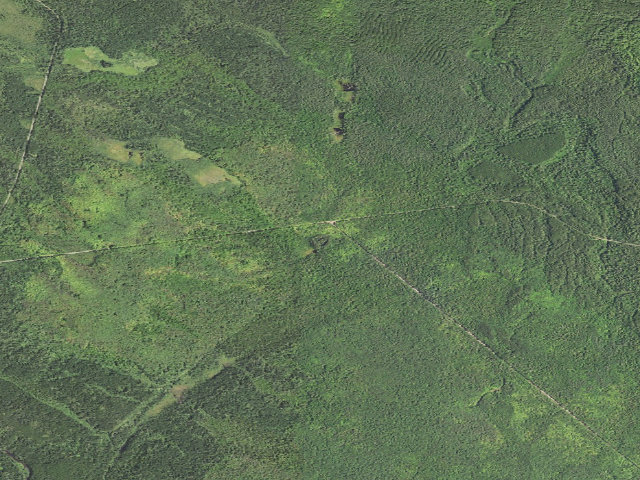 Aerial image of Apple Tree Site