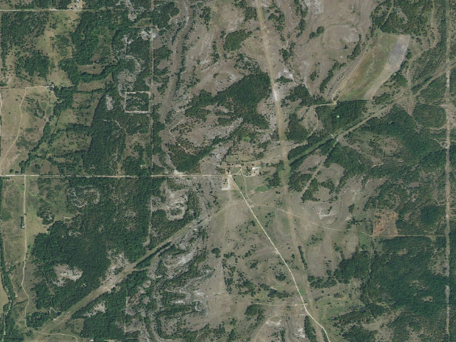 Aerial image of Arbuckle Springs WMA primitive camp #1