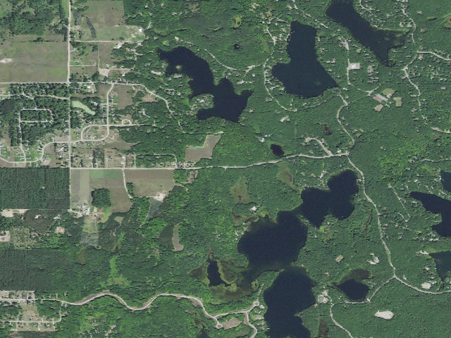 Aerial image of Arbutus Lake State Forest Campground