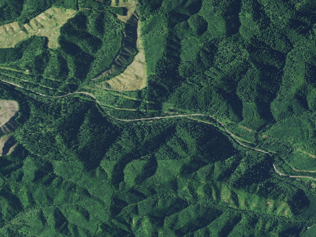 Aerial image of Archie Knowles