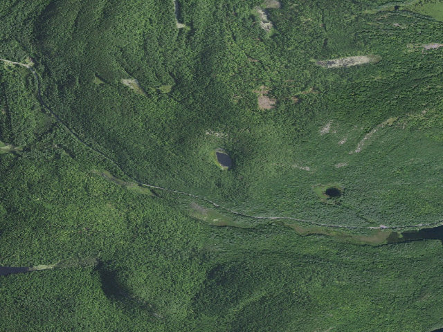 Aerial image of Arnold Pond Tentsite [DEC #5486] (Hammond Pond Wild Forest)