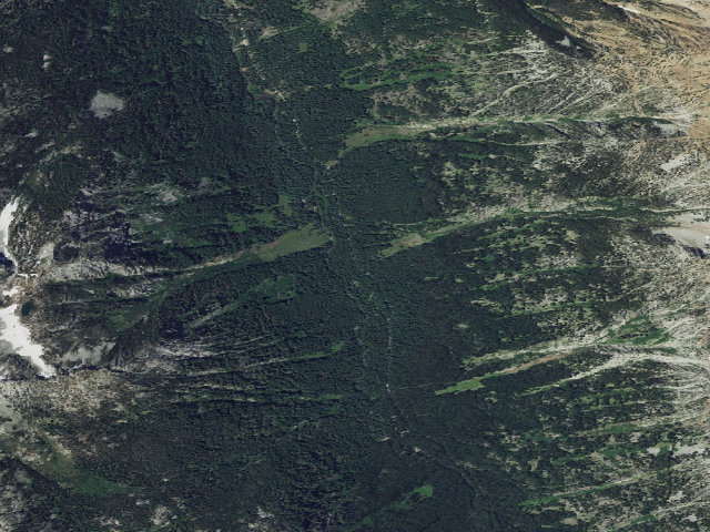 Aerial image of Arrow Forest Camp