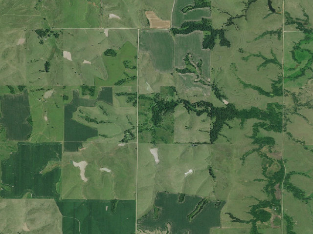 Aerial image of Ash Grove WMA
