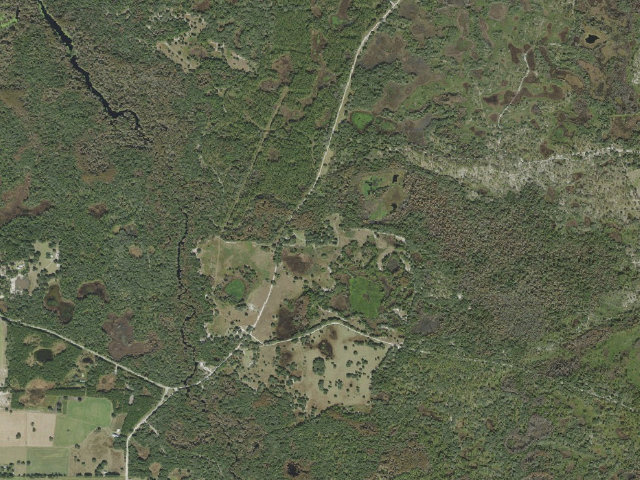 Aerial image of Ashley (Green Swamp Wilderness Preserve - West Tract)