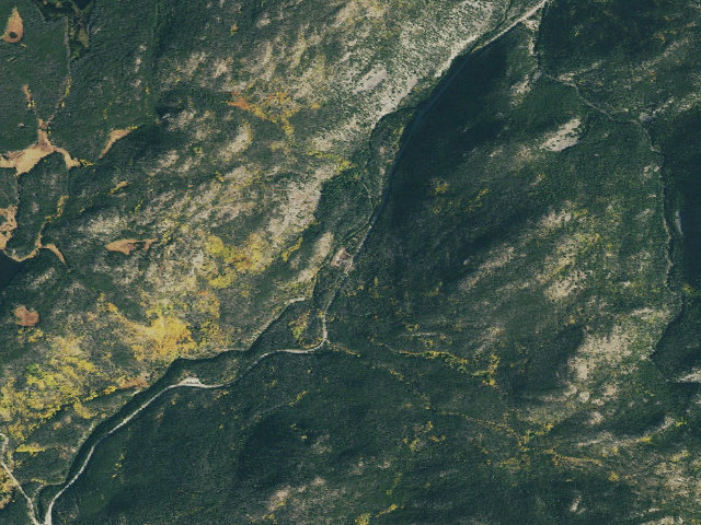 Aerial image of Aspen Glen