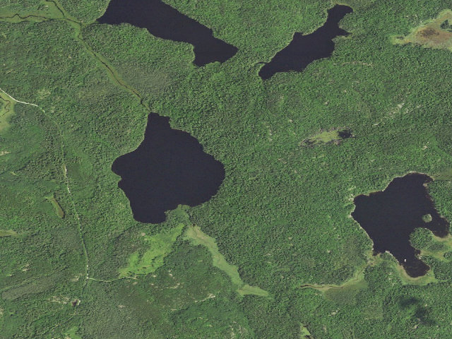 Aerial image of Astrid Lake Site 1