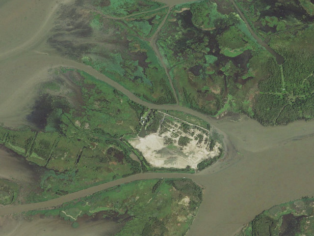 Aerial image of Atchafalaya Delta WMA campground