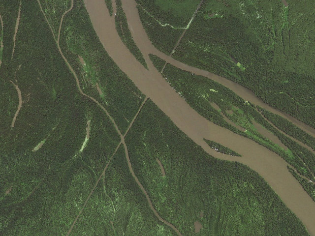 Aerial image of Attakapas Island WMA primitive camping area 1