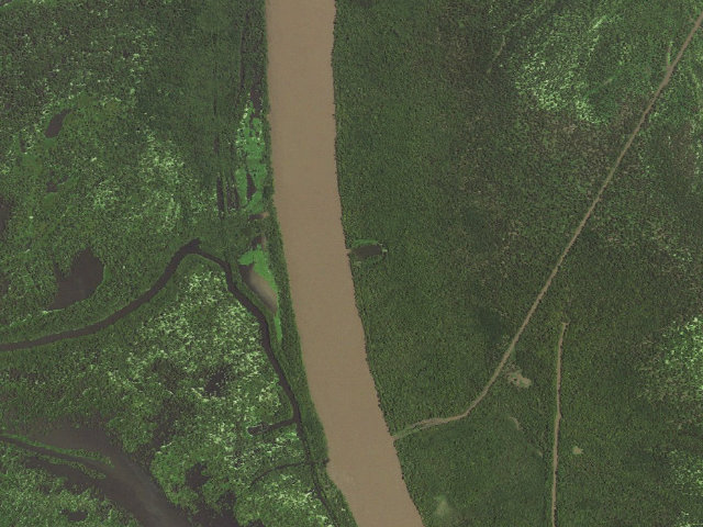 Aerial image of Attakapas Island WMA primitive camping area 2