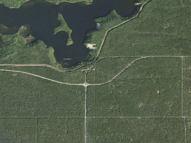 Aerial image of Au Sable River Backcountry Campsites