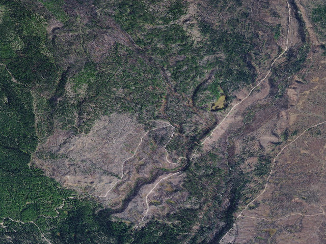 Aerial image of Auggie Cut-Off 01