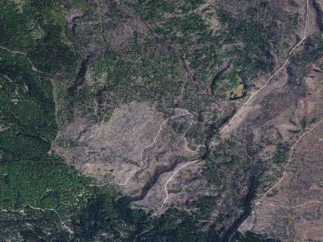 Aerial image of Auggie Cut-Off 02