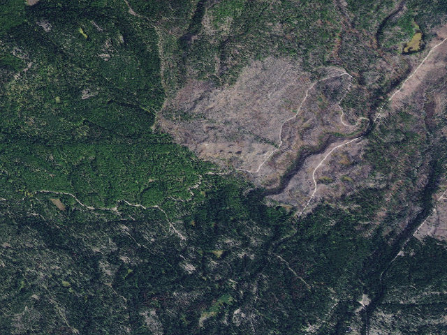 Aerial image of Auggie Cut-Off 03