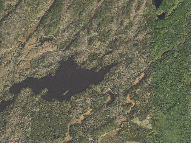 Aerial image of August Lake Site 1