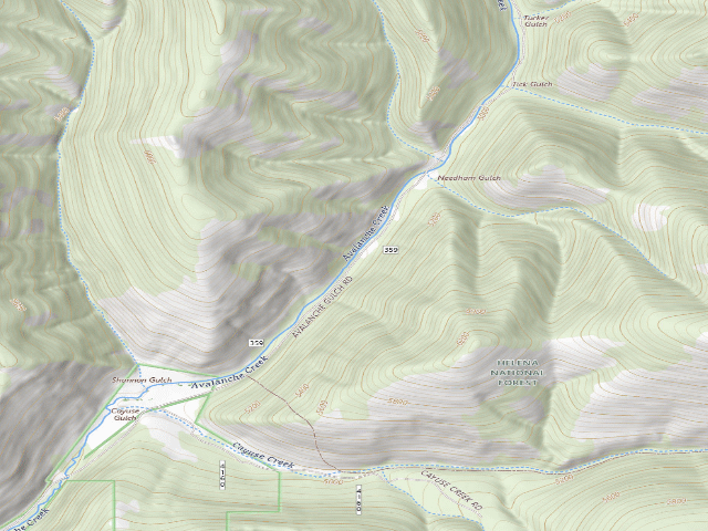 USGS topographic map of Avalanche20