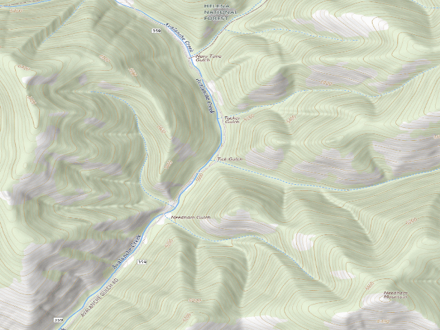 USGS topographic map of Avalanche21A