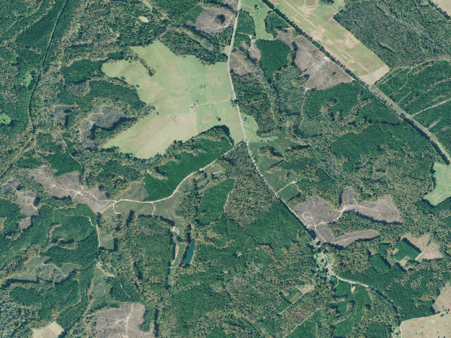 Aerial image of B. F. Grant WMA Primitive Campground #1