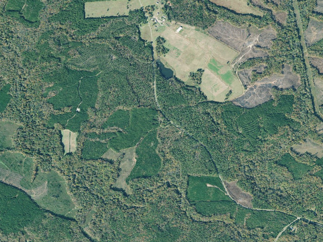Aerial image of B. F. Grant WMA Primitive Campground #2