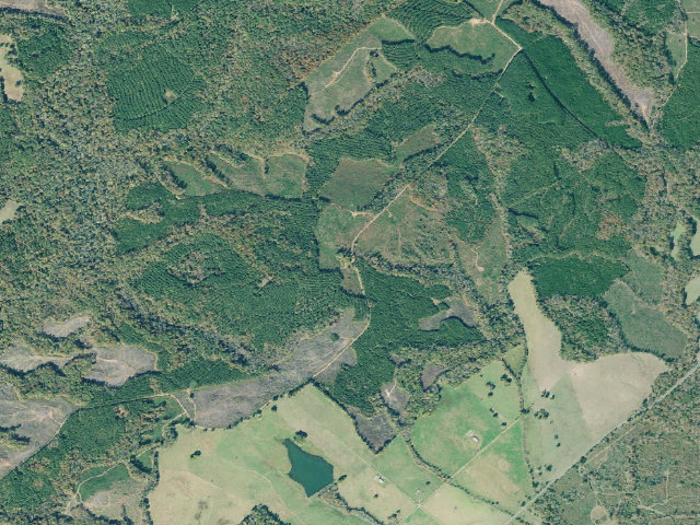 Aerial image of B. F. Grant WMA Primitive Campground #3