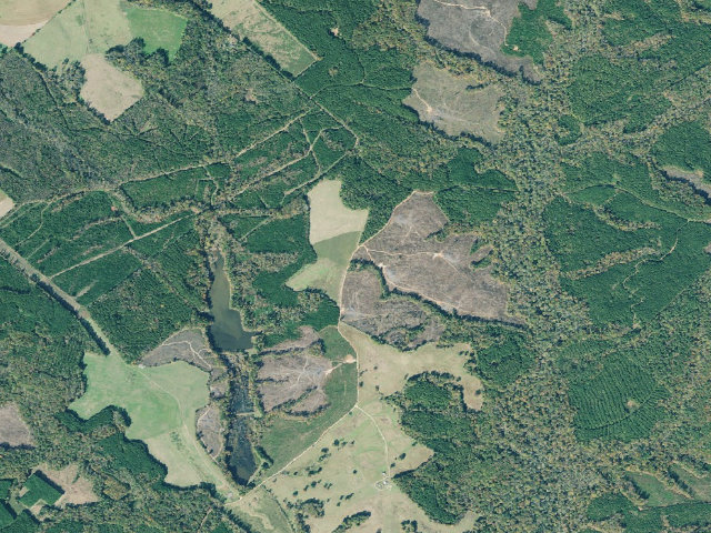 Aerial image of B. F. Grant WMA Primitive Campground #4