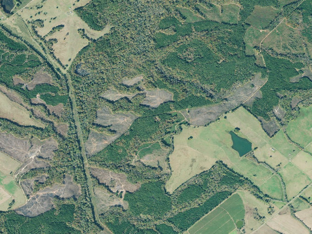 Aerial image of B. F. Grant WMA Primitive Campground #5