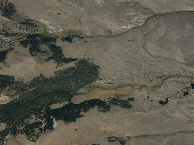 Aerial image of Back In Trees