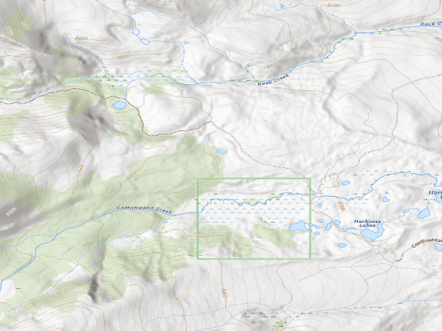 USGS topographic map of Back In Trees